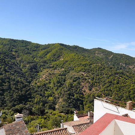 Casa La Parra Βίλα Jubrique Εξωτερικό φωτογραφία