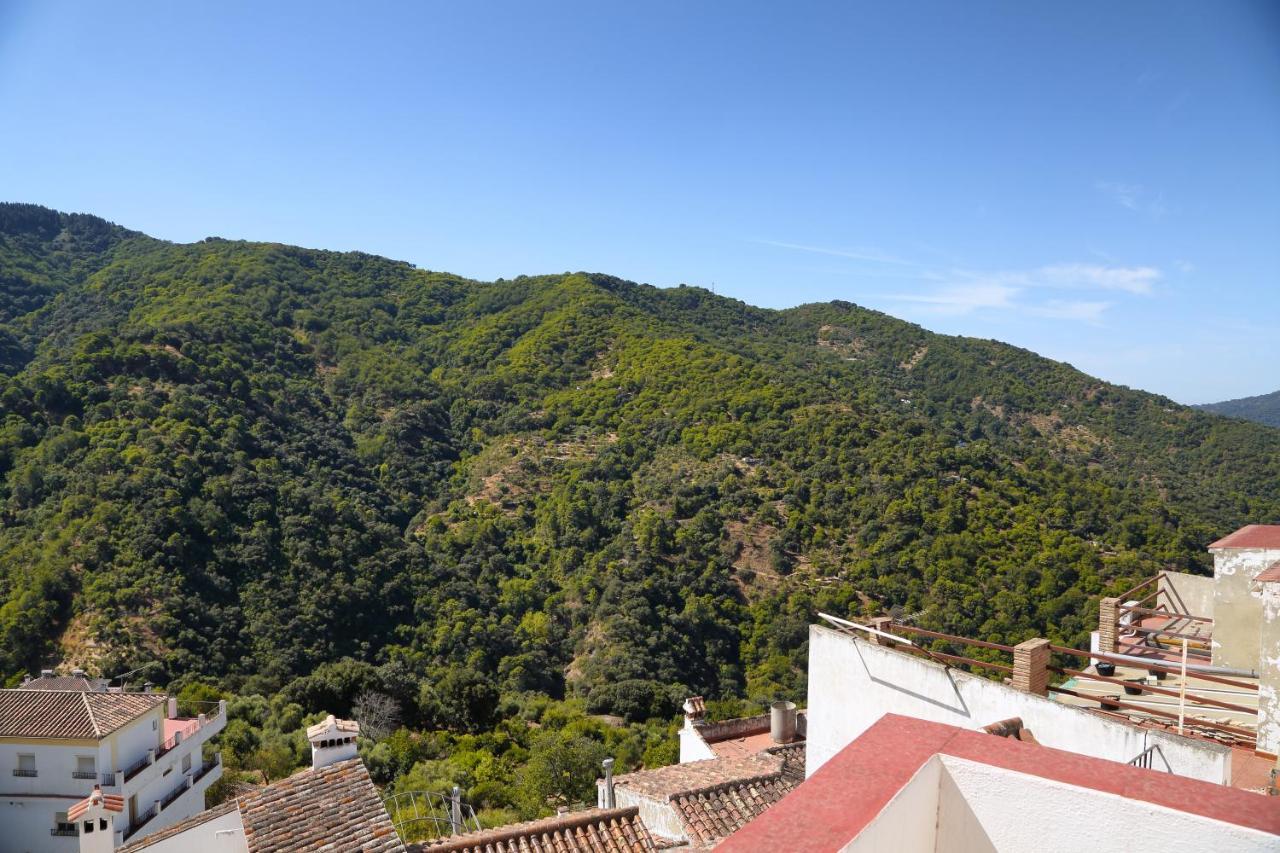 Casa La Parra Βίλα Jubrique Εξωτερικό φωτογραφία